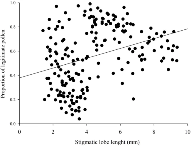 Figure 3. Relationship between the proportion of legitimate pollen deposited on stigmas and the length of  stigmatic lobe in five population of Palicourea and Psychotria (Rubiaceae) in Cerrado areas of Central Brazil