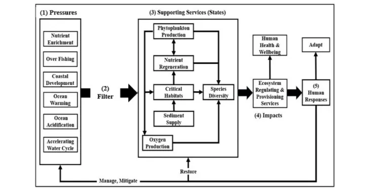 FIGURE 1 | The framework is conceptualized in terms of (1) anthropogenic pressures on ecosystem support services that (2) are uniquely modulated by each ecosystem as they perturb (3) ecosystem support services (states), changes in which impact (4) regulati