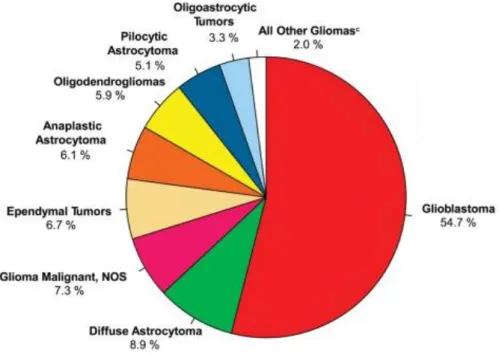 Figura  1.  Distribuição  por  histologia  e  tipos  de  gliomas  na  população  americana  nos  períodos  de  2007-2011