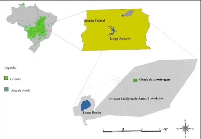 Figura 1: Região do cerrado e localização da Estação Ecológica de Águas Emendadas  (ESECAE) e da grade de amostragem (quadrado verde)