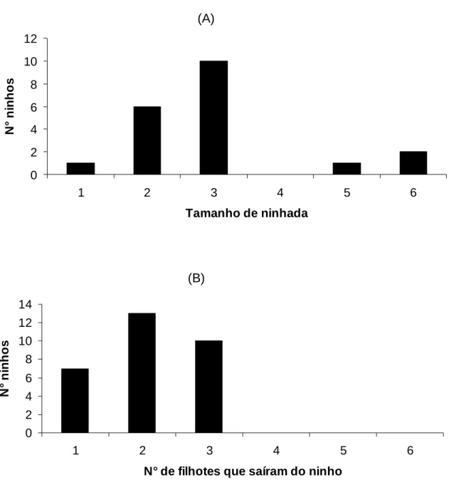 Figura  9-  Número  de  ninhos  de  Mimus  saturninus  em  relação  ao  tamanho  de  ninhada  (n=20)  (A)