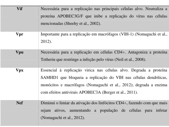 Tabela  4  -  Principais  implicações  das  proteínas  acessórias  na  replicação  viral