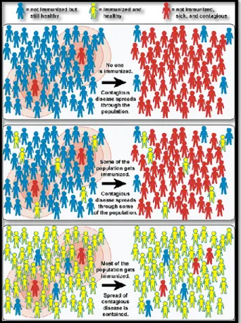 Ilustração  6  -  Esquema  representativo  da  imunidade  de  grupo.  O  azul  representa  indivíduos  saudáveis  mas  não  imunizados;  o  amarelo  os  indivíduos  saudáveis  e  imunizados;  e  a  vermelho  os  indivíduos  doentes,  não  imunizados e cont