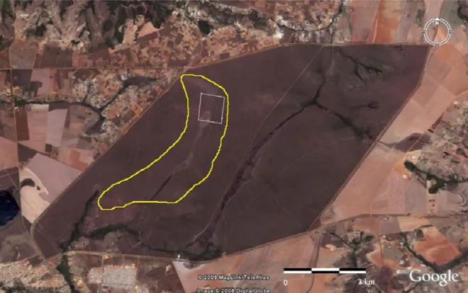 Figura  1.  Estação  Ecológica  de  Águas  Emendadas  (ESECAE).  Quadrado  (linha  branca)  representa a grade de 100 ha, e o polígono (linha amarela) representa toda a área de procura de  ninhos