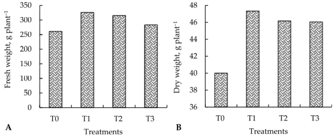 Figure 1. Fresh (A) and dry (B) weights of the plants. 