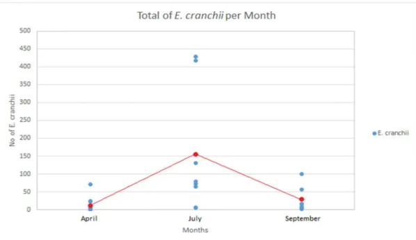 Figure 4. Total abundance of E. cranchii collected in the fully- and partially- protected areas,  per each month