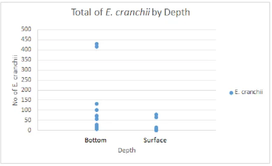 Figure 6. Total abundance of E. cranchii collected at the surface and bottom, among all months