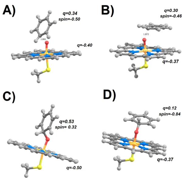 Figure 1 Transition states (A and B) and products (C and D) arising from perpendicular (A and C) or parallel (B and D) attack of benzene by compound I in the doublet (S = 1/2) state