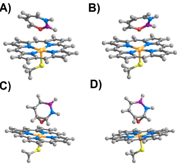 Figure 3 Products arising from perpendicular (A and C) or parallel (B and D) attack of positions C 3 (A and B) and C 5 (C and D) in 1,2-dihydro-1,2-azaborine by compound I in the doublet (S = 1/2) state.
