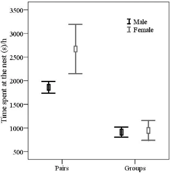 Figure  1.2  –  Effects  of  sex  and  social  organization  on  time  spent  at  the  nest  during the incubation period of Campo Flickers in central Brazil