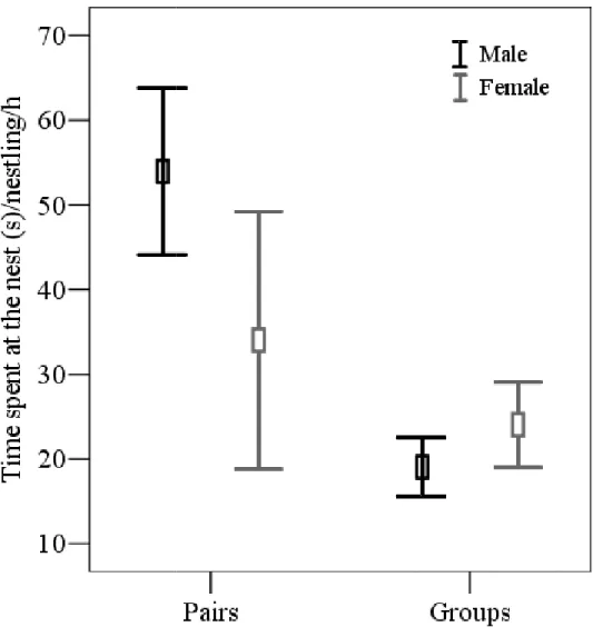 Figure  1.4  –  Effects  of  sex  and  social  organization  on  time  spent  at  the  nest  during the nestling period of Campo Flickers in central Brazil.
