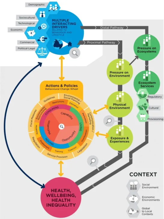 Figure  1.  The  INHERIT  model  (the  INHERIT  model  integrates  the  ecologically  enriched DPSEAA  model  (right  side  of  the  model)  and  Behavioural  Change  Wheel  (left  side  of  the  model)  bringing  together  ecological  public  health  and 