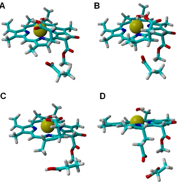 Figure 4 Structures of intermediates with a singly-protonated C 17 = C 18 bond at the one-electron- one-electron-reduced state