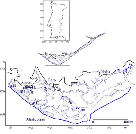 Figure 1. Ria Formosa and approximate location of subtidal sampling stations: 1 – 5 (Gamito,  2006); 6 - 14 (Calvário, 1995); 15 and 16 (Project RECITAL INAG)
