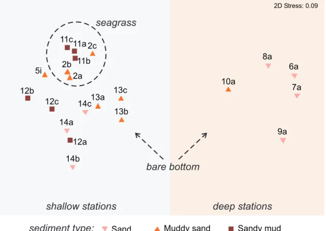 Figure 2. Diagram of non-metric multidimensional scaling analysis carried out with 85 benthic invertebrate families  on Reference sites dataset (21 stations, for codes: see table 1)