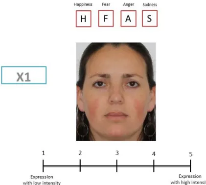 Figure 3.3. Evaluation task: Example of slide for stimuli presentation 