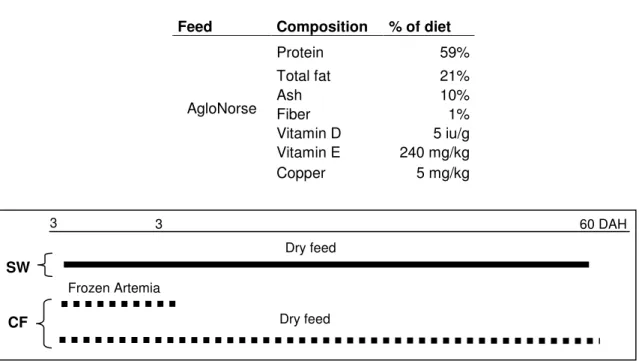 Table 2 – Composition per kg of feed of the inert diet given to post larvae. The ingredients of the  feed are: fish meal, fish oil, vegetable oil, carbohydrate, mineral and vitamins
