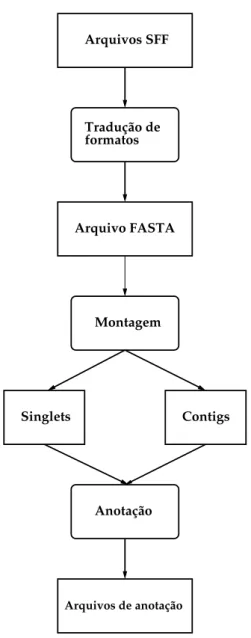 Figura 3.2: Exemplo de workflow para projetos de sequenciamento genˆ omico para m´ aqui- aqui-nas 454.