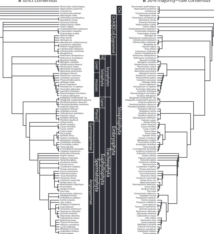 Figure 3. Result of Analysis of 30 Sampled 20,000 Amino Acid, Dayhoff-Recoded Datasets Analyzed under the CAT-GTR Model