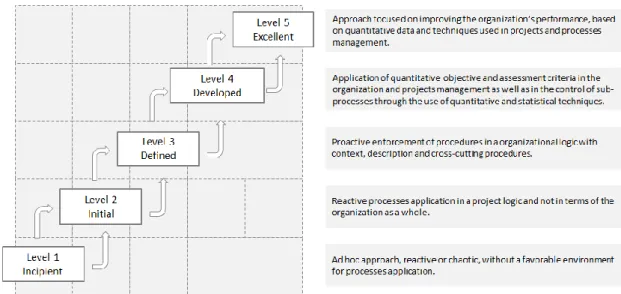 Figure  6  |  CMMI  Methodology  -  Maturity  Levels  in  Innovation  Management.  (Software  Engineering  Institute, 2010)