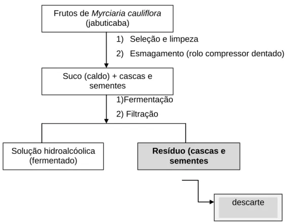 Figura  3.  Esquema  para  a  obtenção  do  subproduto  (cascas)  de  jabuticaba  a  partir  da fermentação de frutos de Myrcyaria cauliflora