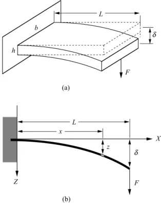 Figura 4. (a) Flexi on de una viga en voladizo de sei on