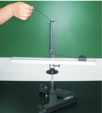 Figura 2 - Riel rotatorio.