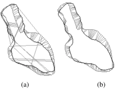 Figure 5: Matching found between the contours of Fig. 1  using the algorithm based on dynamic programming