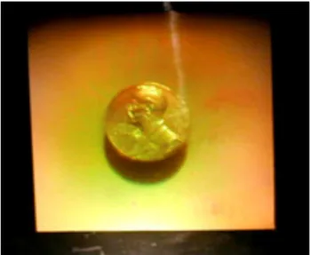 Figura 1 - Holograma de la medalla del Premio Nobel de Ernest Hemingway.