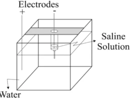 Figure 1 - Experimental setup. The outer reservoir is much larger than the inner compartment, which contains the saline solution.