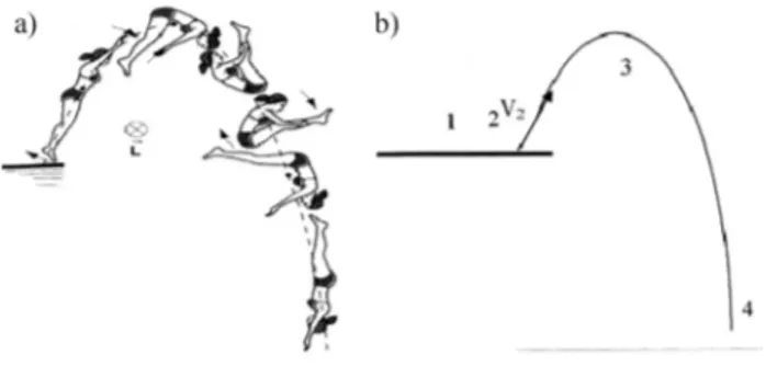 Figura 1 - a) Salto ornamental (Resnick et al. 2002, p. 216), b) Esquema del salto ornamental.