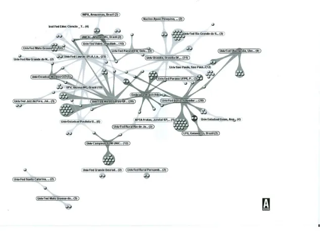 Figura  12  -  Relação  entre  Instituições  que  publicam  artigos  relacionados  ao  pequizeiro indexados da base Web of Science 