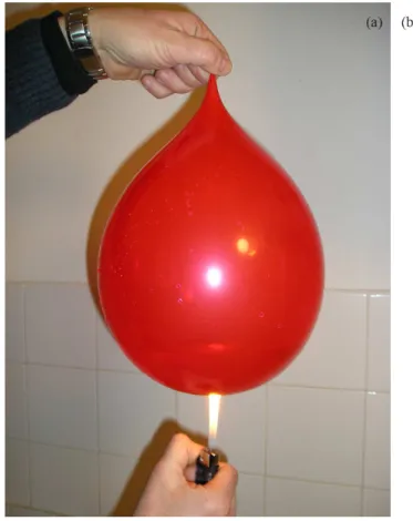 Figura 2 - Carrying out simple experiments (ED - group).