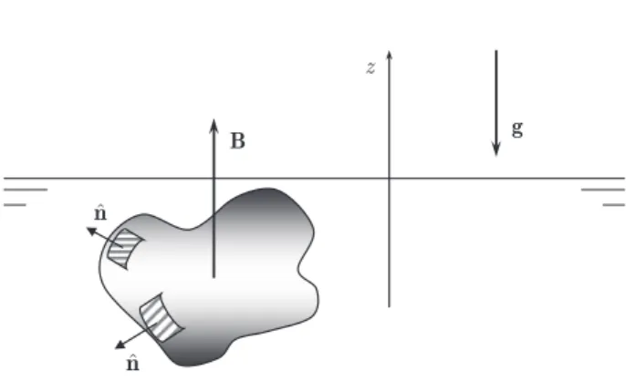 Figura 1 - An arbitrarily-shaped body fully submerged in a fluid.