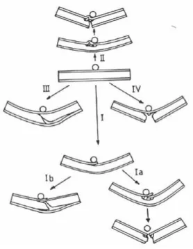 Figura 1.8 - Modos de falha em estruturas sanduíche de acordo com Mines et al [38]. 