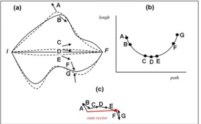 Figure 1 - Some paths connecting I with F, and their associ- associ-ated vectors (a). Representation of the path length for different