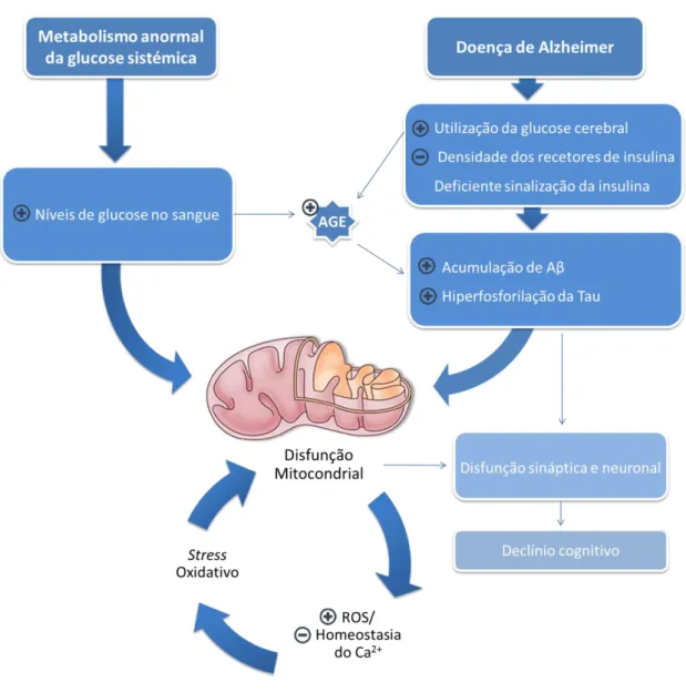 Figura  4  –  Mecanismos  patológicos  que  relacionam  as  alterações  metabólicas  e  a  doença  de  Alzheimer