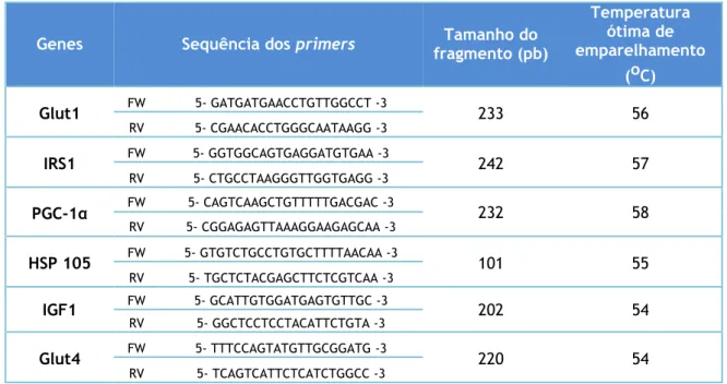 Tabela 2 – Sequências dos primers dos genes do perfil metabólico e biomarcadores de restrição