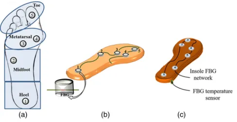 Fig. 1 Schematic representation of (a) the foot plantar main areas¸ (b) the sensors network implemented for a fixed platform, and (c) the sensors network implemented for the insole adapted in a shoe.