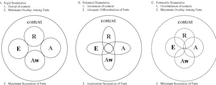 Figure 3. Functional and dysfunctional aspects of the ERAAwC model.