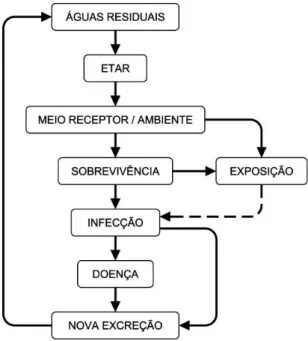 Figura 2-5 – Vias de exposição a microrganismos patogénicos em sistemas de reutilização de águas residuais tratadas