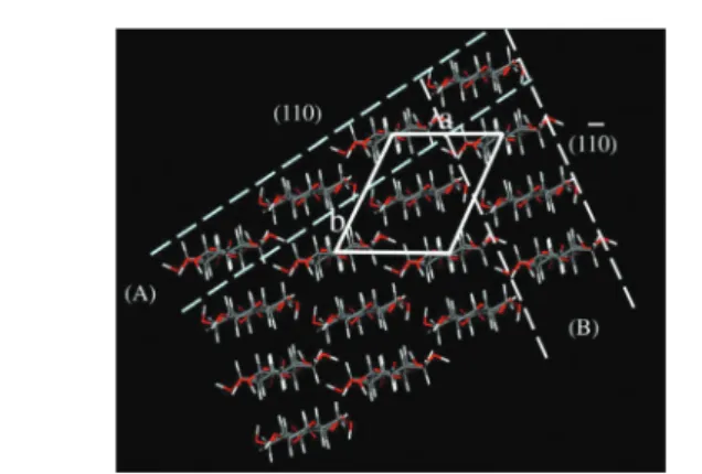 Fig. 1 Cellulose II crystal and the models of molecular sheets: (A) hydrogen bonded (HB) molecular sheet; (B) van der Waals-associated (VW) molecular sheet