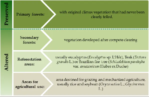 Figure  2.  Land  use  gradient  (from  agriculture  to  secondary  forest;  that  demonstrates  altered  environments)  and  primary  forests  (that  demonstrates  preserved  environments)  in  the  regions  of  Santarém/Belterra and Paragominas municipal