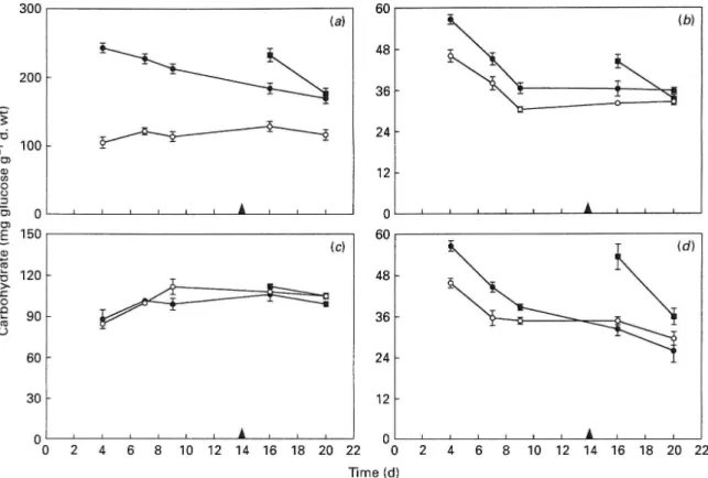 Figure 3. {a) Starch and soluble (6) sugar concentration in the shoots (mean + SE). The effect of elevated COj on soluble sugar concentration of the younger plants was significant at P < 0-0001 in a two-way analysis of variance, (c) Starch and (d) solub