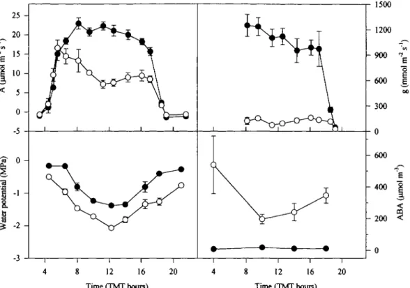 Fig. 4. Diurnal time-courses of net CO 2  assimilation rate (A) stomatal conductance (g), leaf water potential, and ABA concentration in xylem sap, determined on two consecutive days at the end of the soil drying experiment