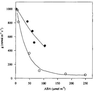 Fig. 7. Relationship between stomatal conductance at midday (g) and the ABA concentration in xylem sap determined at predawn in irrigated (closed symbols) and droughted (open symbols) plants, during the soil drying experiment