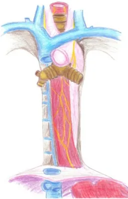 Figure 1. Handmade drawing of the system under study.