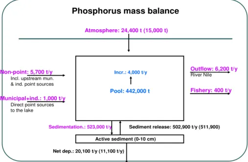 Figure 7. Phosphorus mass balance for Lake Victoria (Source; COWI, 2002)