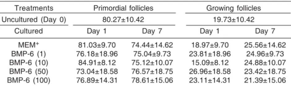 Table 1. Percentages (mean ± S.E.M.) of primordial and growing follicles (primary and secondary) in uncultured tissues and tissues cultured for 1