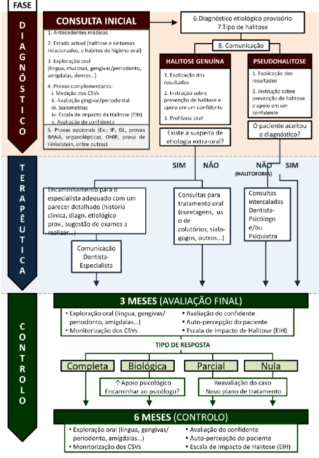 Ilustração 12 -Modelo de funcionamento proposto pelo protocolo HCP Arthyaga® 